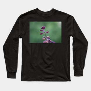 Purple Salvia Long Sleeve T-Shirt